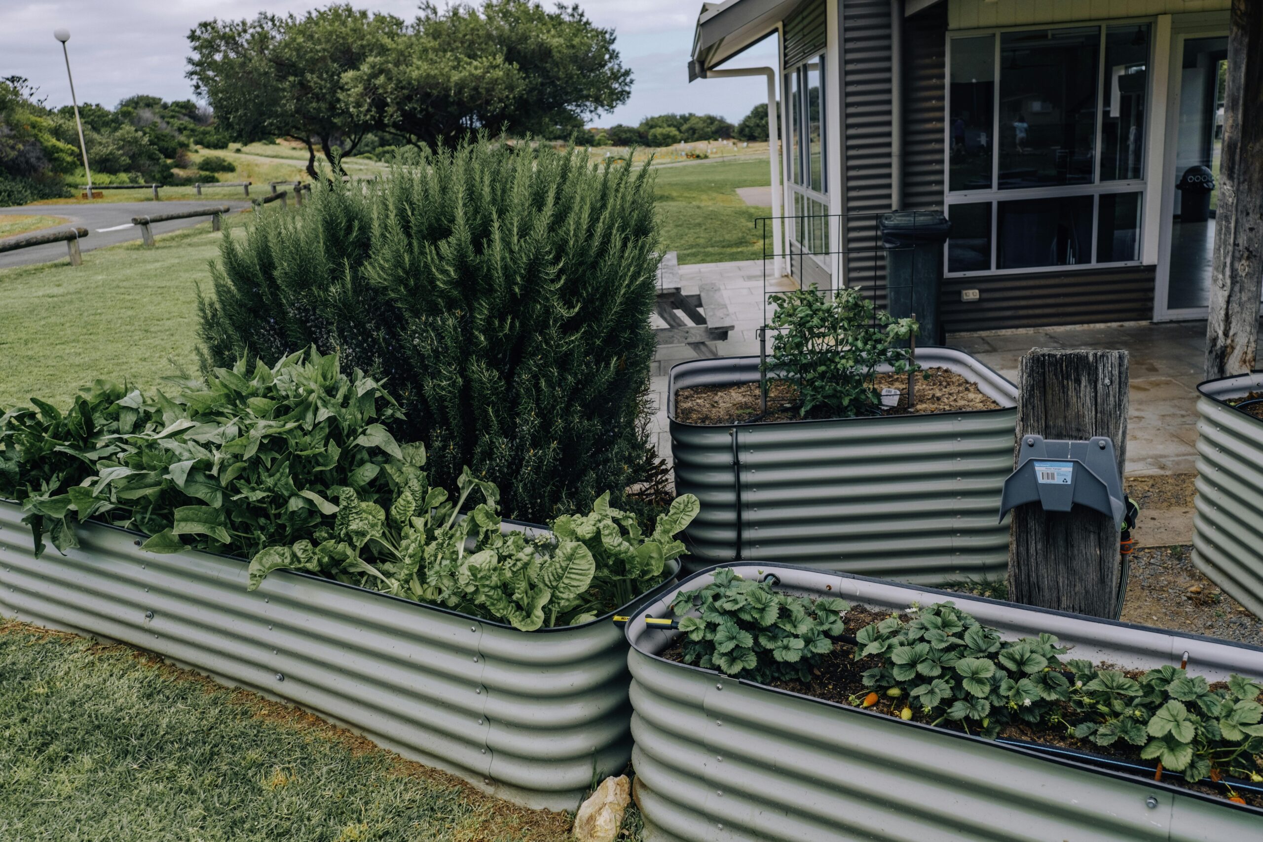 Herb garden