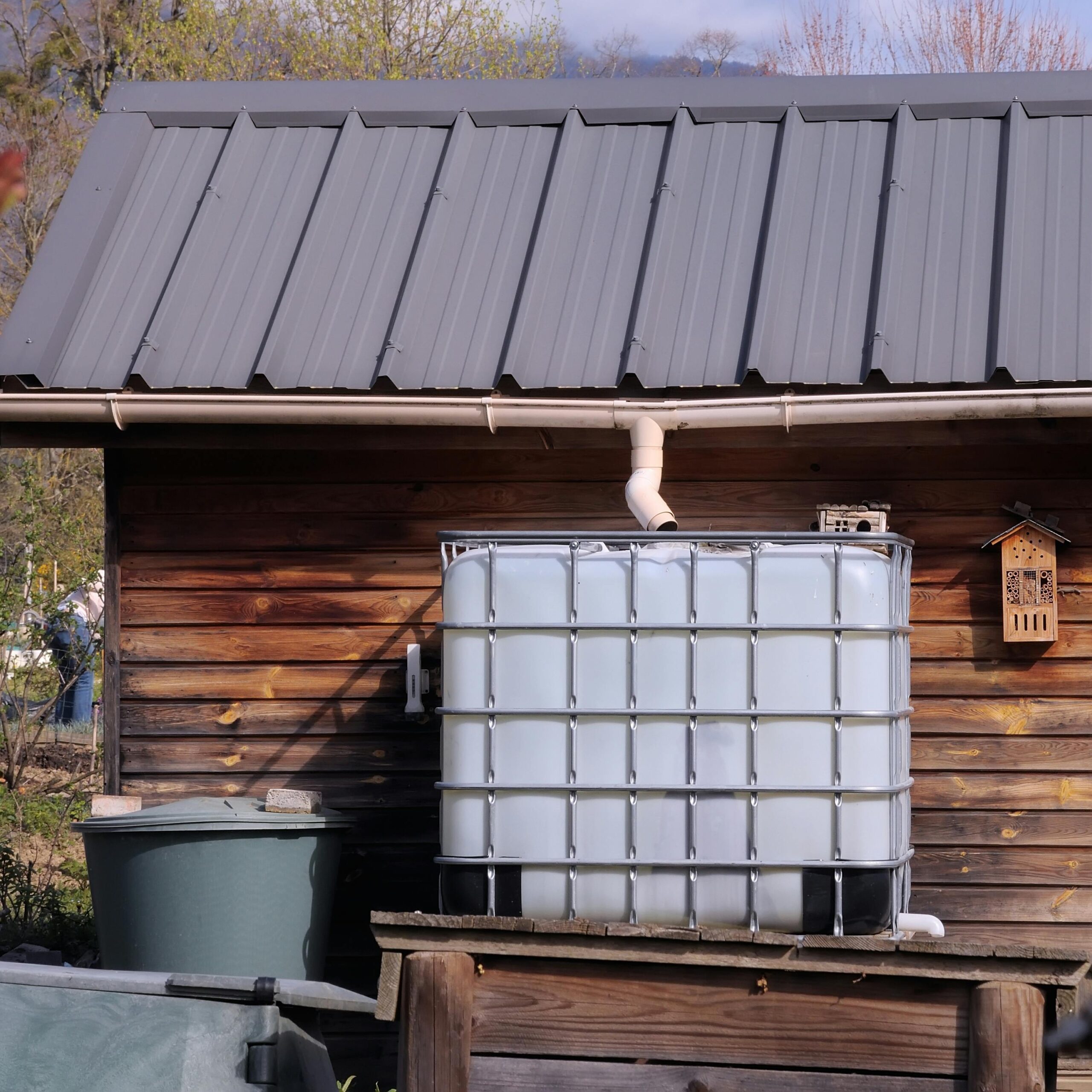 Rainwater available